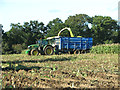Maize harvest by Pondhead Plantation in NR13 6HH