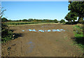 Muddy field entrance beside Pit Road in NR13 6HH