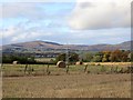 Round bales, Boreland in KY13 0LT