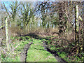 Track into Shroton Brake in DT11 8QX