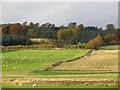 Mixed farmland near Threapmuir in KY13 0LL