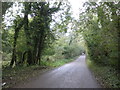 Minor road to Timbercombe in TA5 2EH