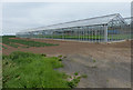 Greenhouses at Hall Farm in PE22 0AA