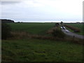 Farm track near Nether Kelly in DD11 2PD