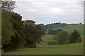 Trees along Clushmill Burn, near Lundie in DD2 5NX