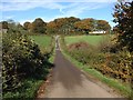 Minor road near Cowshaw in DG11 1SF