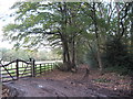 Way to Little Aston - Hardwick, West Midlands in B74 3EG