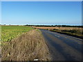 Hemsby Road looking east in NR29 4QH