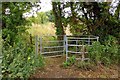 Kissing gate on the footpath in OX33 1JH