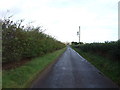 Heading north on National Cycle Route 1  in DD11 5SS