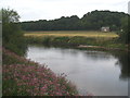 The River Wye downstream from Huntsham Bridge in HR9 6JB