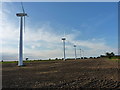 The western array of the Blood Hills windfarm in NR29 4DU