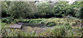 King Charles Pond, Blackmore Copse in SP5 1AD