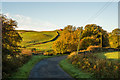 The Road to Barwhillanty in DG7 3NY