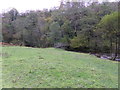 Wooden footbridge over the Taf Fechan near Vaynor in CF48 2TU