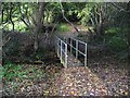 Footbridge over stream in woodland in CH6 5TN
