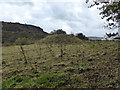 Cae Burdydd motte near Vaynor in CF48 2TS