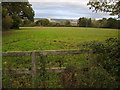 Grazing field beside Oakenholt Lane near Field Farm in CH6 5SU