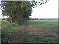 Footpath on field boundary, Felsted in CM6 3EL