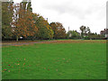 Autumn Colours, Bannister Green in CM6 3NF