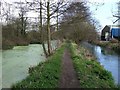 Towpath on Stroudwater Canal in GL10 2LE