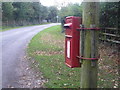 East Boldre: postbox № SO42 46 in SO42 7WT
