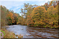 Allan Water in Autumn in FK9 4PH