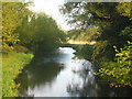 The River Yare below Harford Bridge in NR4 6ET