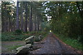 Rocks at the side of Lodge Drive in Stapleford Wood in LN6 9LE