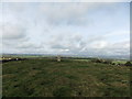 Trig pillar, Kilmond Scar in DL12 9SP