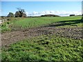 Farmland south-east of Newton Gate in YO62 5YE