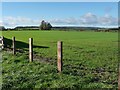 Farmland north-west of Newton Gate in YO62 5YE