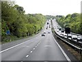 M2 Motorway, Tassell's Wood in ME13 0SG