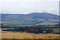 View to Craigowl Hill from Lundie Craigs in DD2 5NY