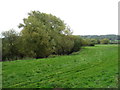 Fields by the River Lugg in HR1 4JY