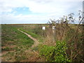 The coast path at Cley Next The Sea in NR25 7RZ