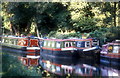 Narrowboats on River Wey at Farncombe in GU7 1XT