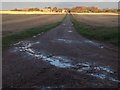 Farm road to Upper Auchenreath in IV32 7PR