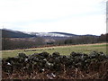 View across fields towards Sluie House wood in AB31 4AX