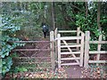 Gat Fochyn Park Wood kissing Gate in NP10 8RR