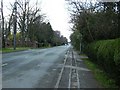 Humberston Avenue in DN36 4BN