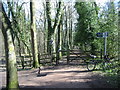 Tracks and signpost in Ecclesall Woods in S17 3NF