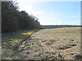 Arable land and woodland between Syderstone and Barmer in Bircham with Rudhams Ward