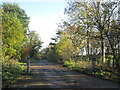Lane to Park Cottages in S70 5YX