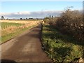 Minor road near Mains of Muldearie in AB55 6YR
