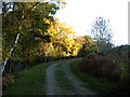Footpath along track beside woodland in CH7 5JR