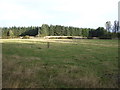 Farmland near Burnside in AB12 5GX