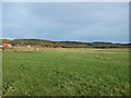 Farmland east of the B979 in AB12 5GY