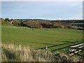 Farmland south of North Deeside Road in AB13 0JR
