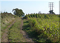 Track and pylons across farmland in LE67 9TJ